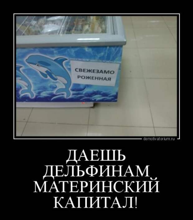 Прикольные демотиваторы