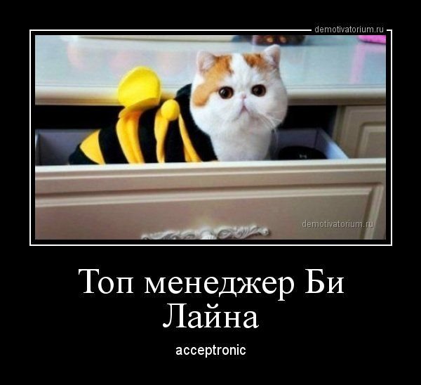 демотиваторное