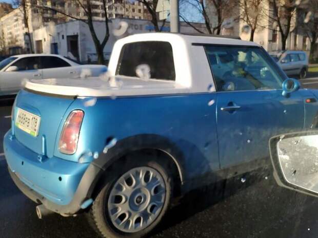 Автовсячина
