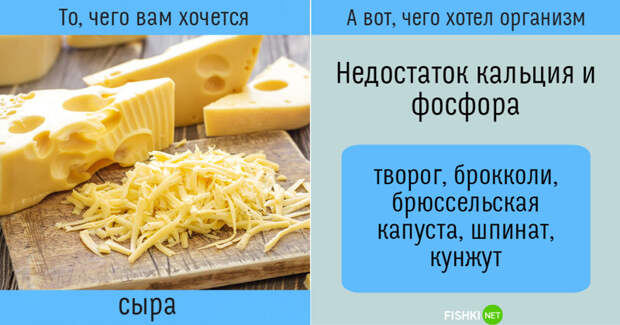 Пойми свой организм правильно: не всегда то, чего нам хочется, действительно нам нужно организм, питание, полезное, продукты, факты