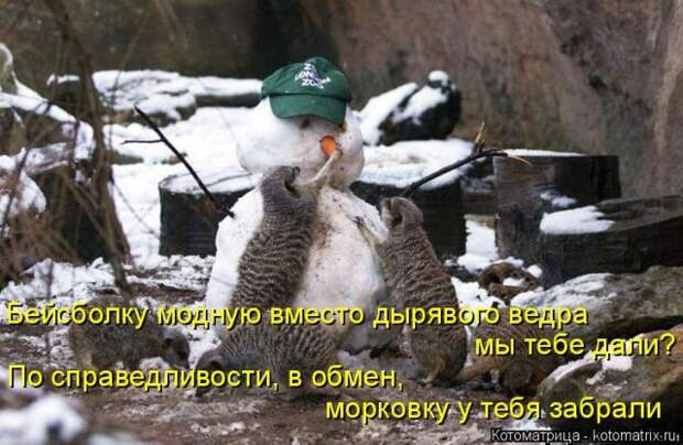 Лучшие котоматрицы недели (51 фото)