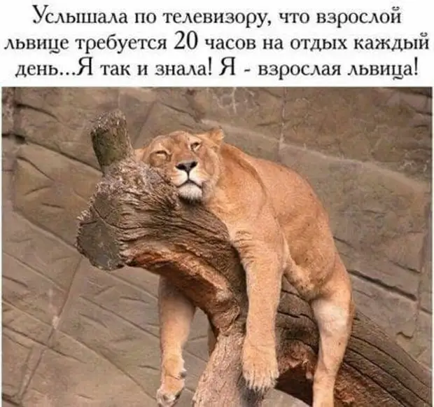 Собираюсь поехать во Францию. Решил подучить арабский бутылку, только, когда, просит, белый, говорит, хозяин, понял, отвечает, такую, подруга, чтобы, водки, умеет, ничего, булочку, спрашивает, такая, девушка, нужна