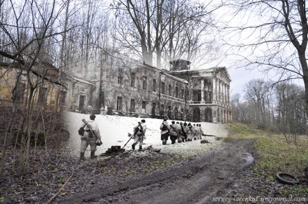 Ленинград 1944 / Санкт Петербург 2014: К годовщине освобождения 226933 original 800x531 Ленинград 1944 / Санкт Петербург 2014: К годовщине освобождения