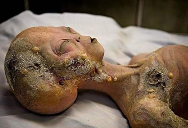 Многочисленные кладбища инопланетян на Земле.