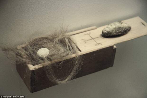 Коробки с волосами и шерстью  исландия, музей