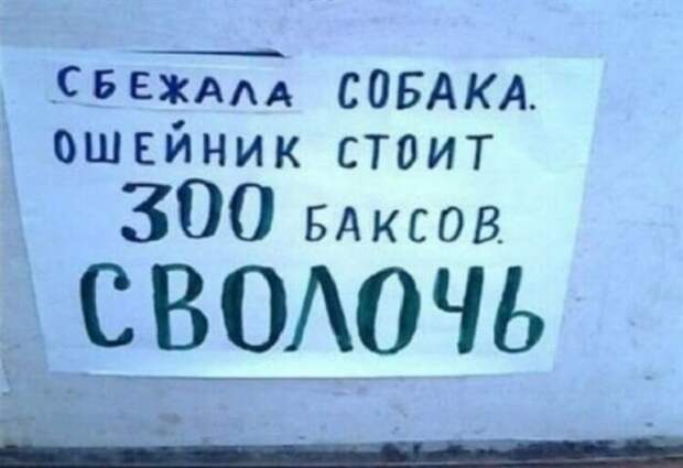 Несколько объявлений, которые моментально поднимают настроение