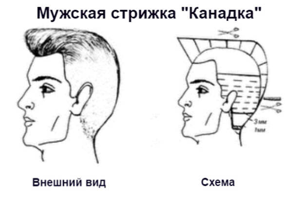 Картинки по запросу "канадка"