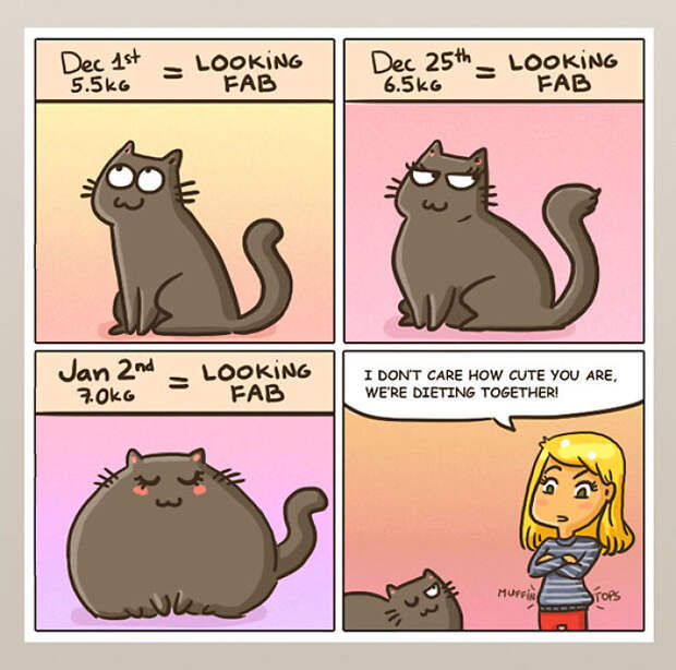 Funny-cat-comics-catsu