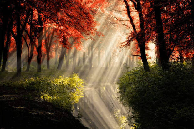 amazing-reflections-optical-illusions-17-5836d9007ef9b__700