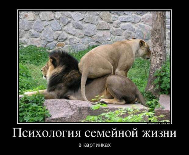 Прикольные демотиваторы для хорошего настроения (11 фото) Прикольные демотиваторы для хорошего настроения (11 фото)