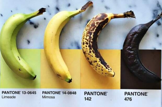 Важнейшую роль играет цвет продукта. ¦Фото: ya.ru. Важнейшую роль играет цвет продукта. ¦Фото: ya.ru.