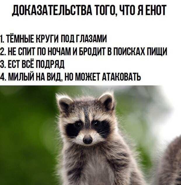 Ну очень смешные СМС- ки