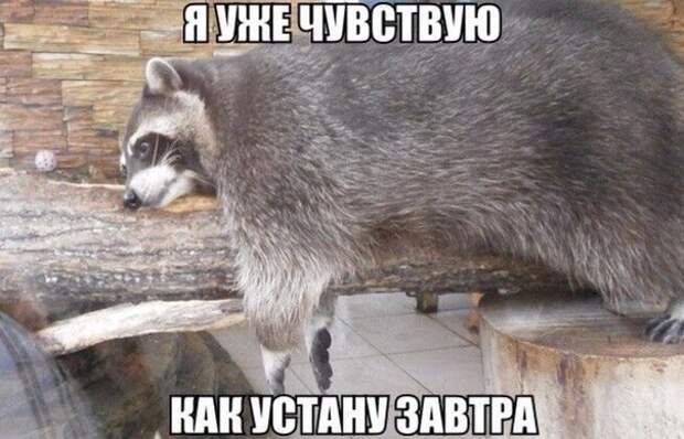 Приколы