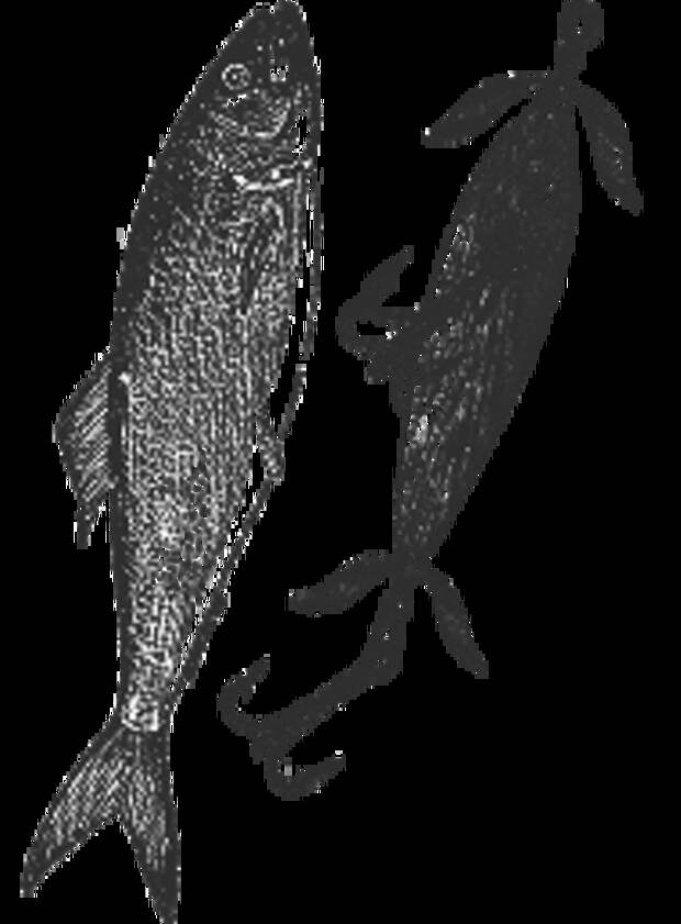 20 советов для того, кто хочет укрепить свое психическое здоровье