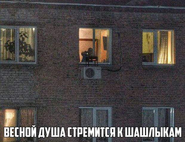 Забавные картинки с надписями со смыслом (12 фото) Забавные картинки с надписями со смыслом (12 фото)