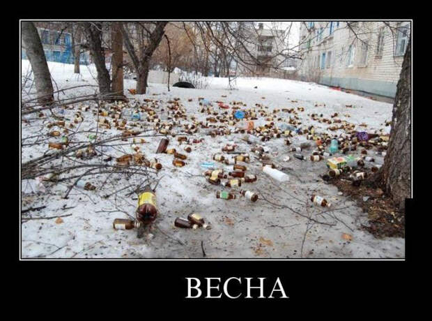 Забавные и веселые демотиваторы для хорошего настроения (11 фото) Забавные и веселые демотиваторы для хорошего настроения (11 фото)