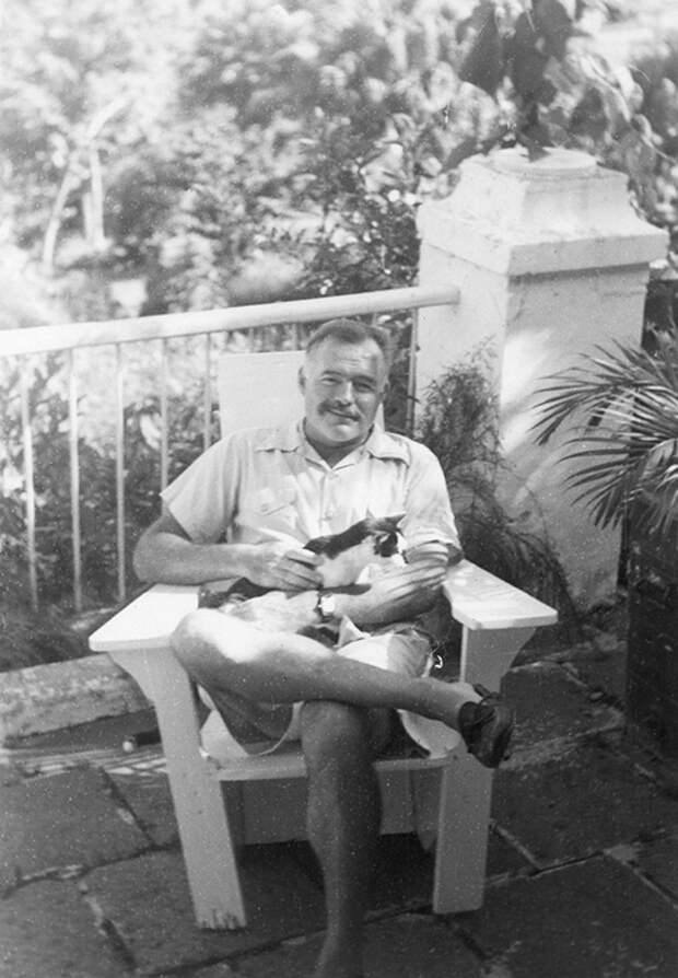 Эрнест Хемингуэй со своей кошкой Бойсе на Финка Вихия.