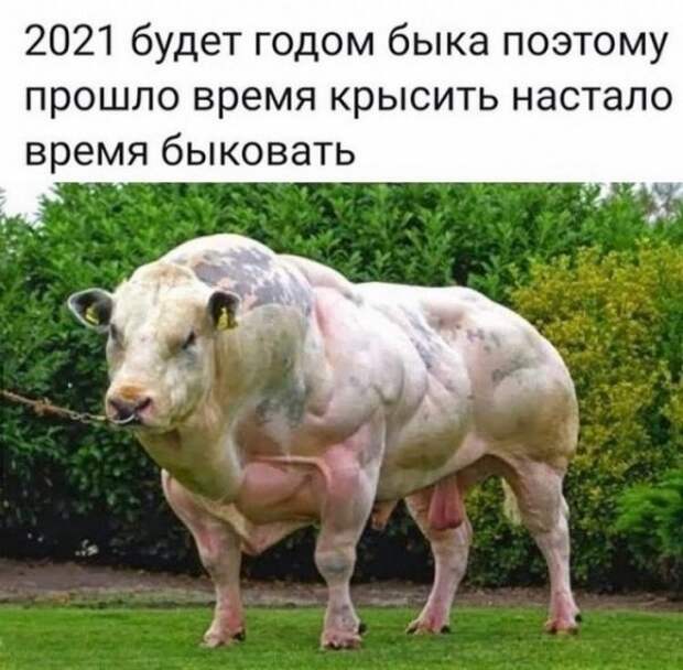 seti-kretinizmy-kartinki-smeshnye-kartinki-fotoprikoly