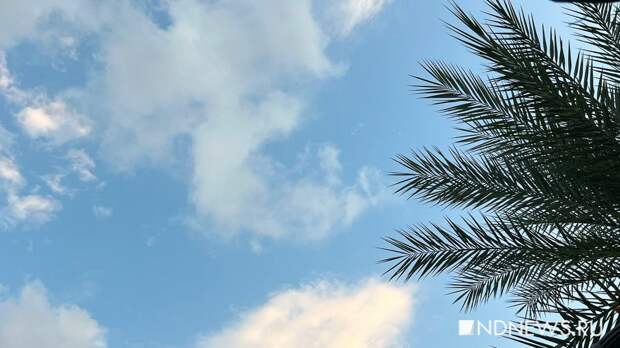 Более 20 тысяч российских туристов застряли в ОАЭ