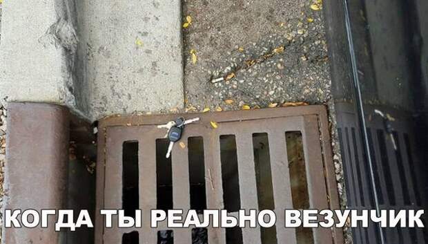 Смешные картинки с надписями прикол, юмор