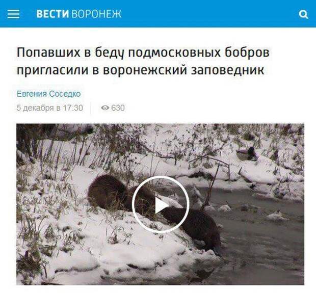 Новостные заголовки отечественных СМИ больше похожие на анекдоты Новостные заголовки отечественных СМИ больше похожие на анекдоты