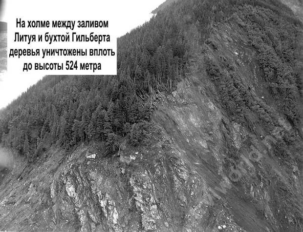 Самая высокая волна СамыйСамый, история, явления природы