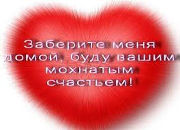 Посмотрите! Присмотритесь! Маленькая, круглая, с раскосыми зелёными глазками, малышка не оставит равнодушным никого!