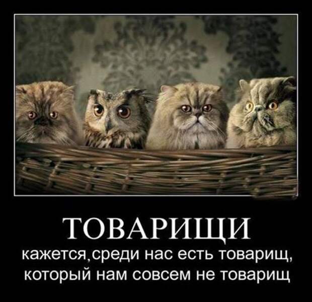 Вор ворвался ночью в дом. Он включил фонарик и начал искать ценные вещи. Тут из темноты раздается голос..