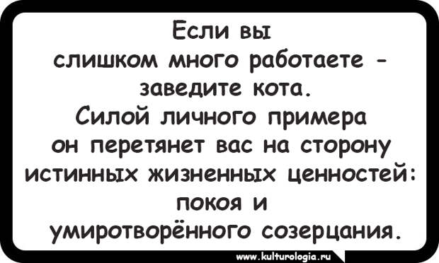 15 открыток, которые будут близки и понятны поклонникам котиков