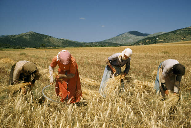 1956 Greece by Franc and Jean Shore.jpg 1956 Greece by Franc and Jean Shore.jpg