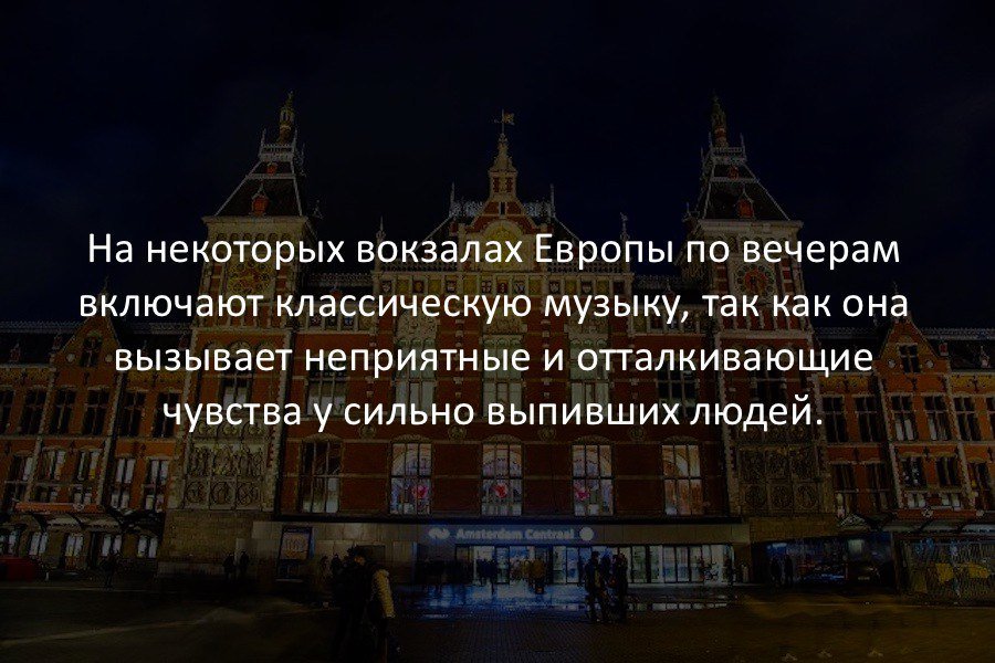 Интересные факты в картинках