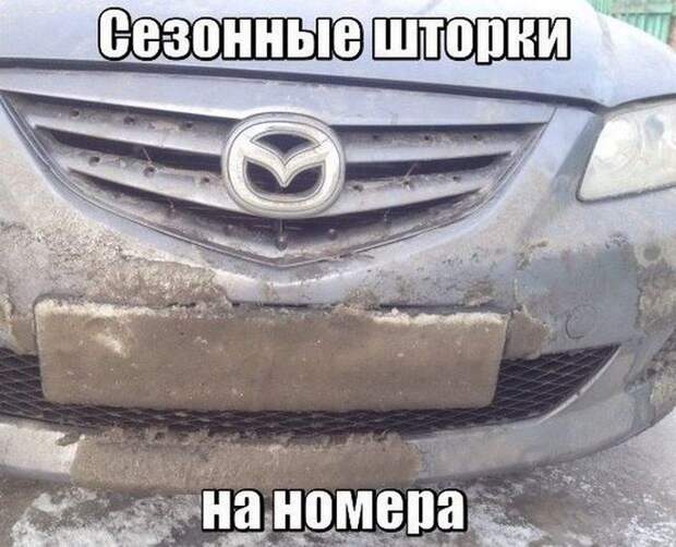 автоприколы