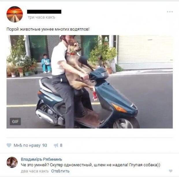 1479322074_kommentarii-21