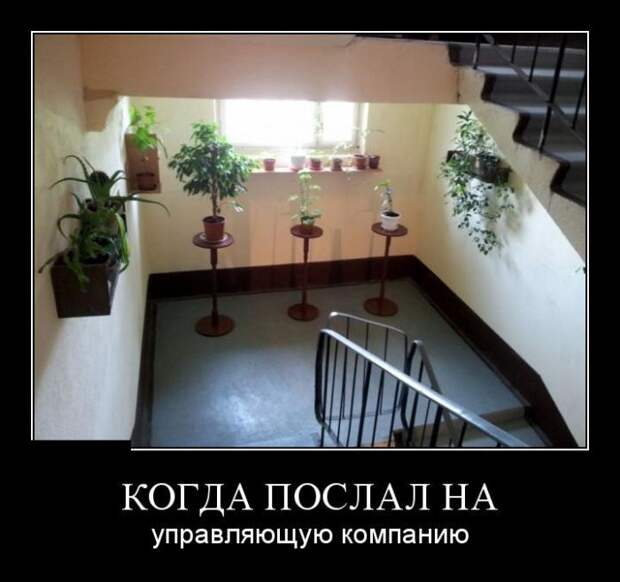 Демотиваторы (30 фото)