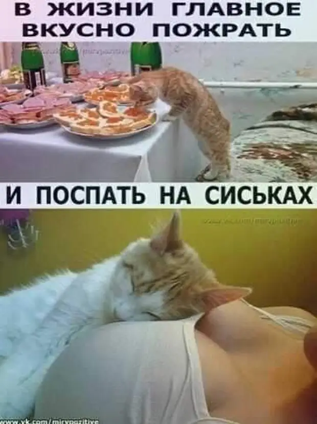 Хорошая новость: у меня есть работа. Плохая новость: на нее надо ходить Хорошая новость: у меня есть работа. Плохая новость: на нее надо ходить любит, любовница, платим, чтобы, птички, пальмочки, красивой, рядочками, купил, стоят, любовницу, говорит, градусов, Обожаю, парень, шоколадку, песочек, сделать, должны, курлыккурлык