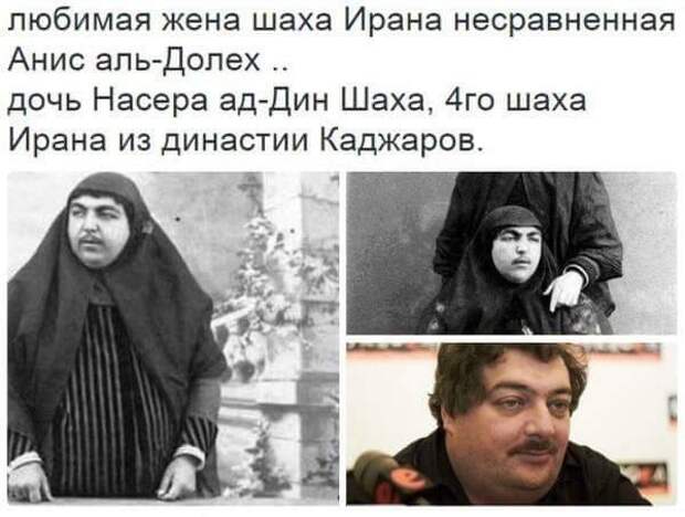Господин назначил меня любимой женой! прикол, реинкарнация