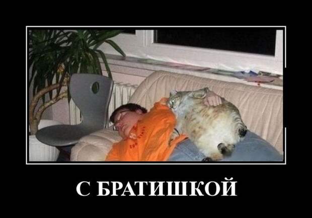 Демотиваторы (30 фото)