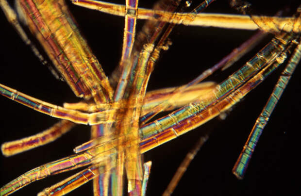 Фотография погребального савана, найденного на древнеегипетском кладбище Эль-Бадари, выполненная со 150-кратным увеличением на поляризационном микроскопе. Фото: Ron Oldfield