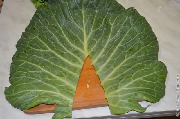 Серая капуста крошево. Капуста без листьев. Капуста зеленая листовая. Зеленые листья капусты. Заквасить листья капусты.