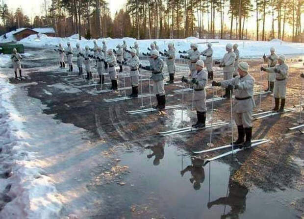 Бравые лыжники.