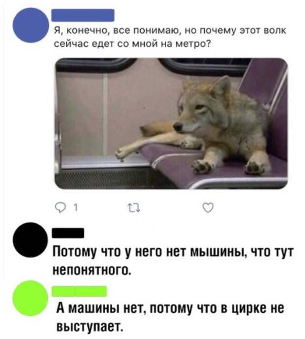 kartinok-prikolnyh-podborka-kartinki-smeshnye-kartinki-fotoprikoly