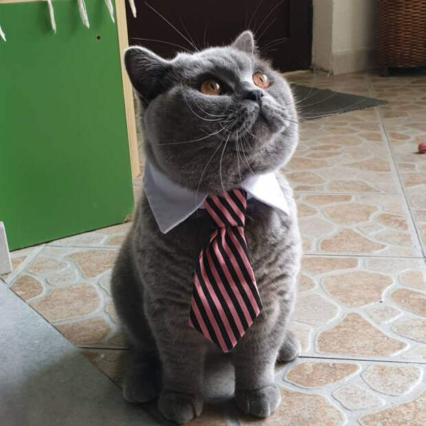 1605596304_13 (600x600, 167Kb)