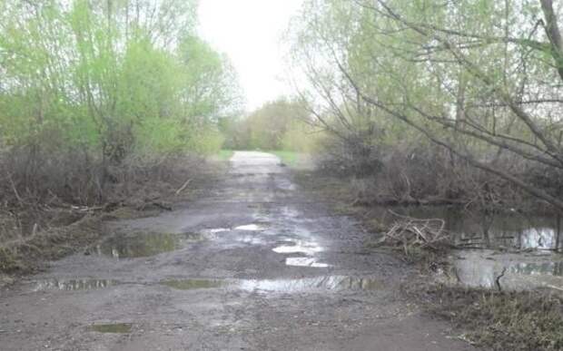В Рязанской области два моста освободились от воды