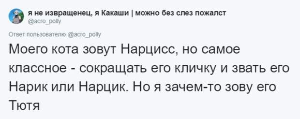 Кто во что горазд, или как правильно назвать своего питомца