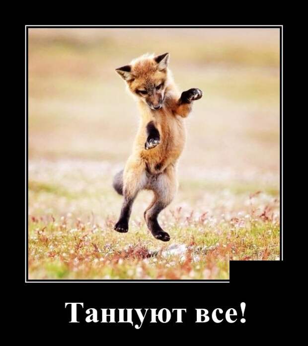 Демотиваторы (30 фото)
