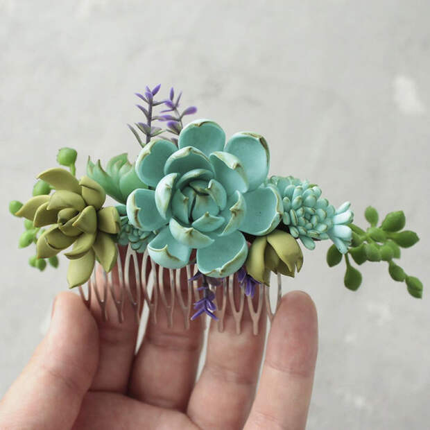 Succulents