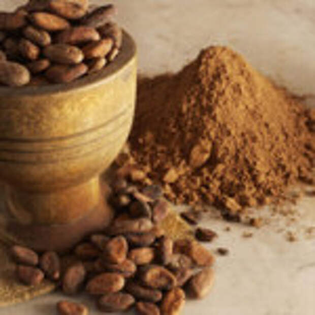 Cocoa Beans and Cocoa Powder