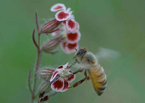 Есть только миг между прошлым и будущем... Есть только миг между прошлым и будущем...