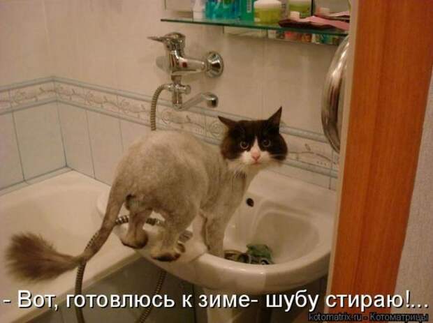 Мысли вслух :)