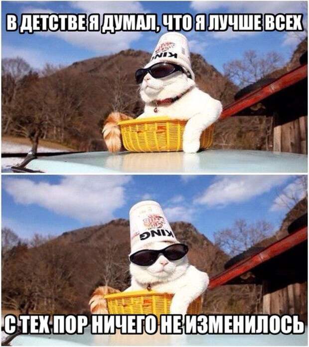 Прикольные картинки (102 фото) Прикольные картинки (102 фото)